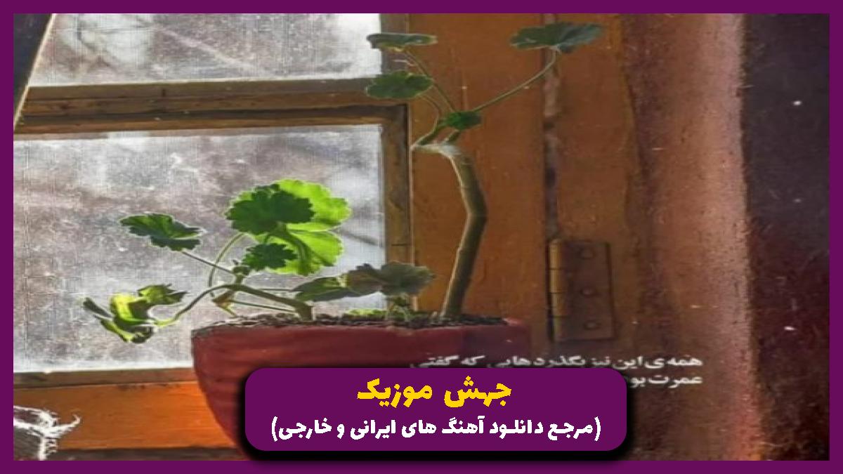 عکس آهنگ بالمو کنن زخمی بالمو میبنده از ایمان براتی